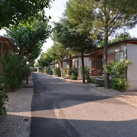 Johnny * Marina Palmense