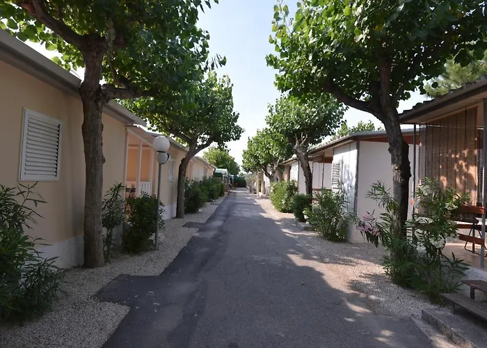 Parco vacanze Johnny Marina Palmense