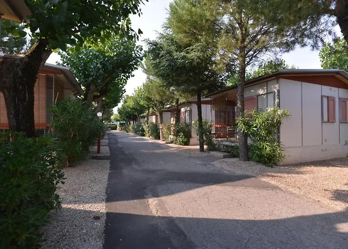 Johnny * Marina Palmense